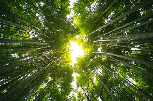 2022年度溫室氣體排放核查報告公示